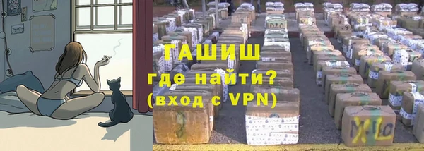 МДПВ Вяземский